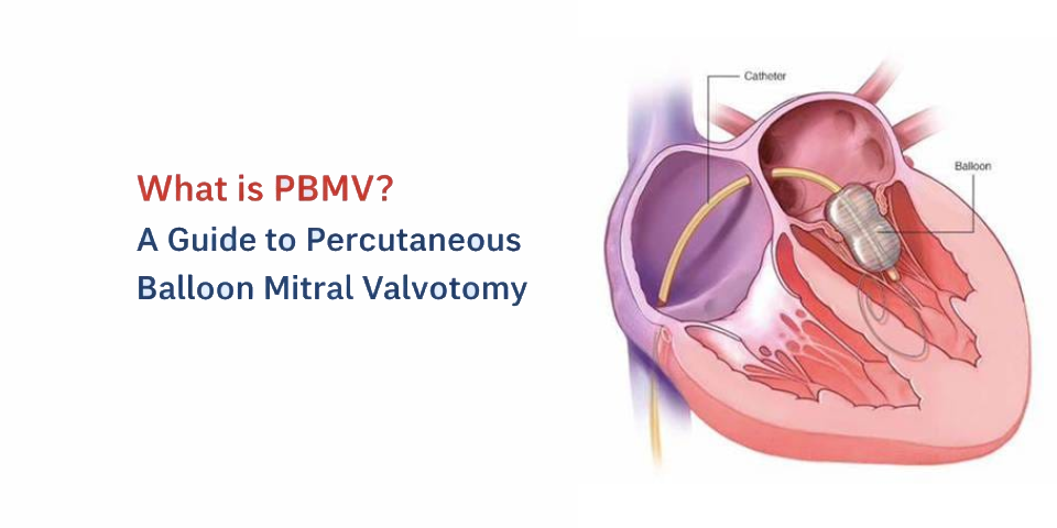 Dr Bhishma Chowdary cardiologist in Hyderabad